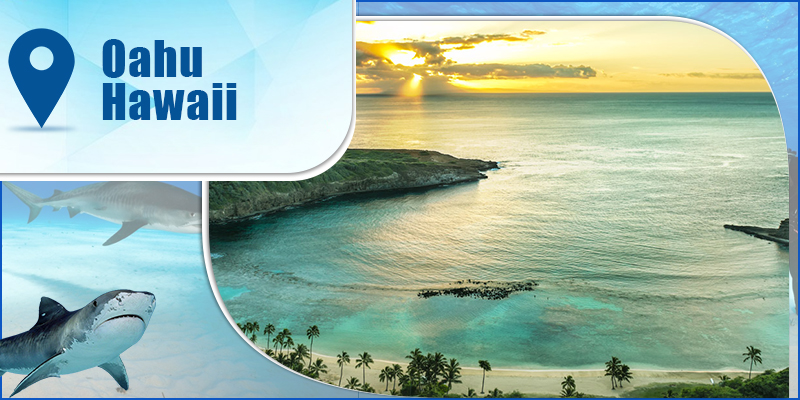 Oahu-Hawaii