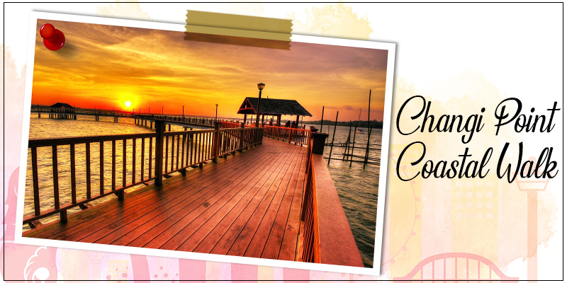 Changi Point Coastal Walk