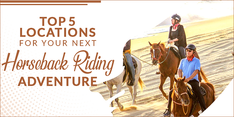 Top 5 Locations for Your Next Horseback Riding Adventure!
