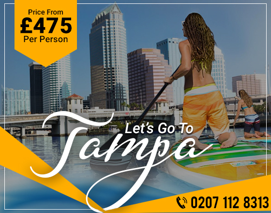 Tampa flights