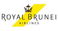 airline logo
