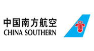 airline logo