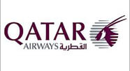 airline logo